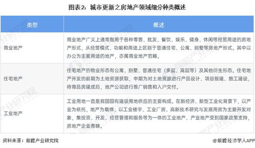 2023年中国城市更新行业细分市场分析 房地产开发及运营 含开发流程 典型案例 运营模式等